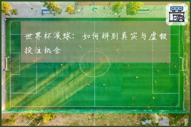 世界杯滚球:如何辨别真实与虚假投注机会