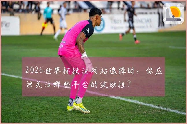 2026世界杯投注网站选择时，你应该关注哪些平台的波动性？