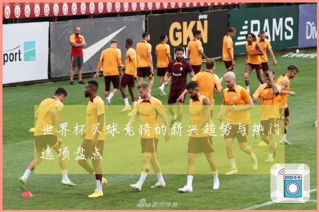 世界杯买球竞猜的新兴趋势与热门选项盘点