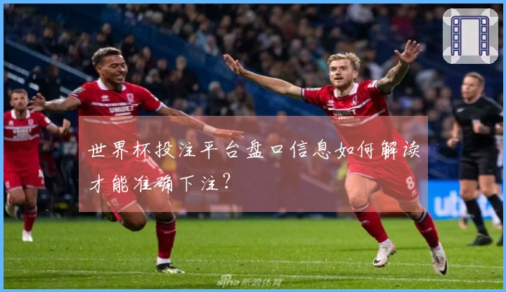世界杯投注平台盘口信息如何解读才能准确下注？