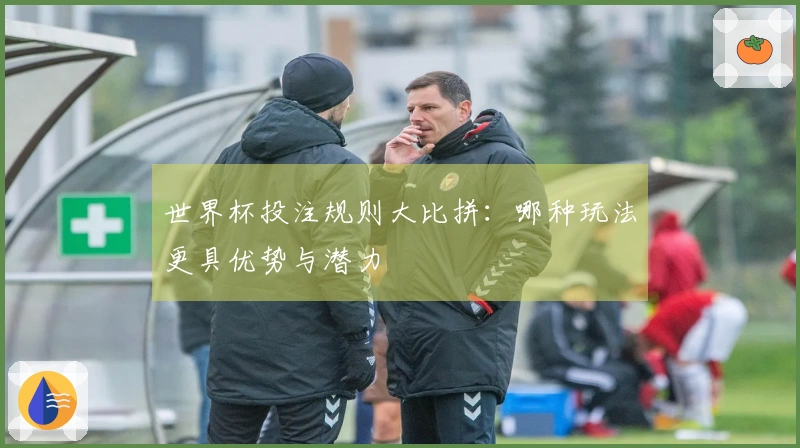 世界杯投注规则大比拼：哪种玩法更具优势与潜力