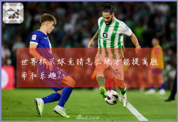世界杯买球竞猜怎么玩才能提高胜率和乐趣？