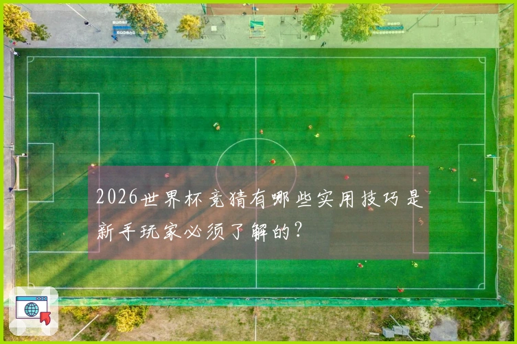 2026世界杯竞猜有哪些实用技巧是新手玩家必须了解的？