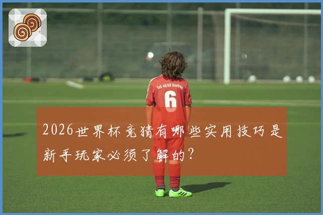 2026世界杯竞猜有哪些实用技巧是新手玩家必须了解的？