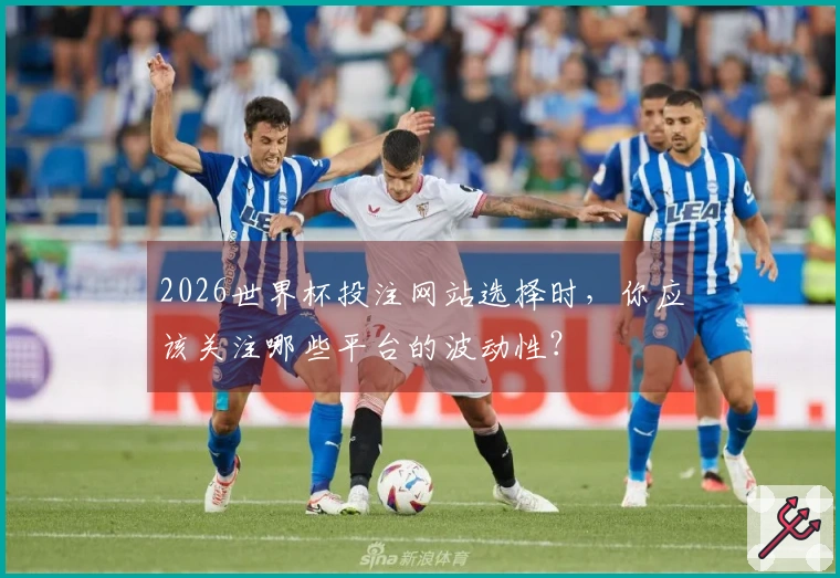 2026世界杯投注网站选择时，你应该关注哪些平台的波动性？